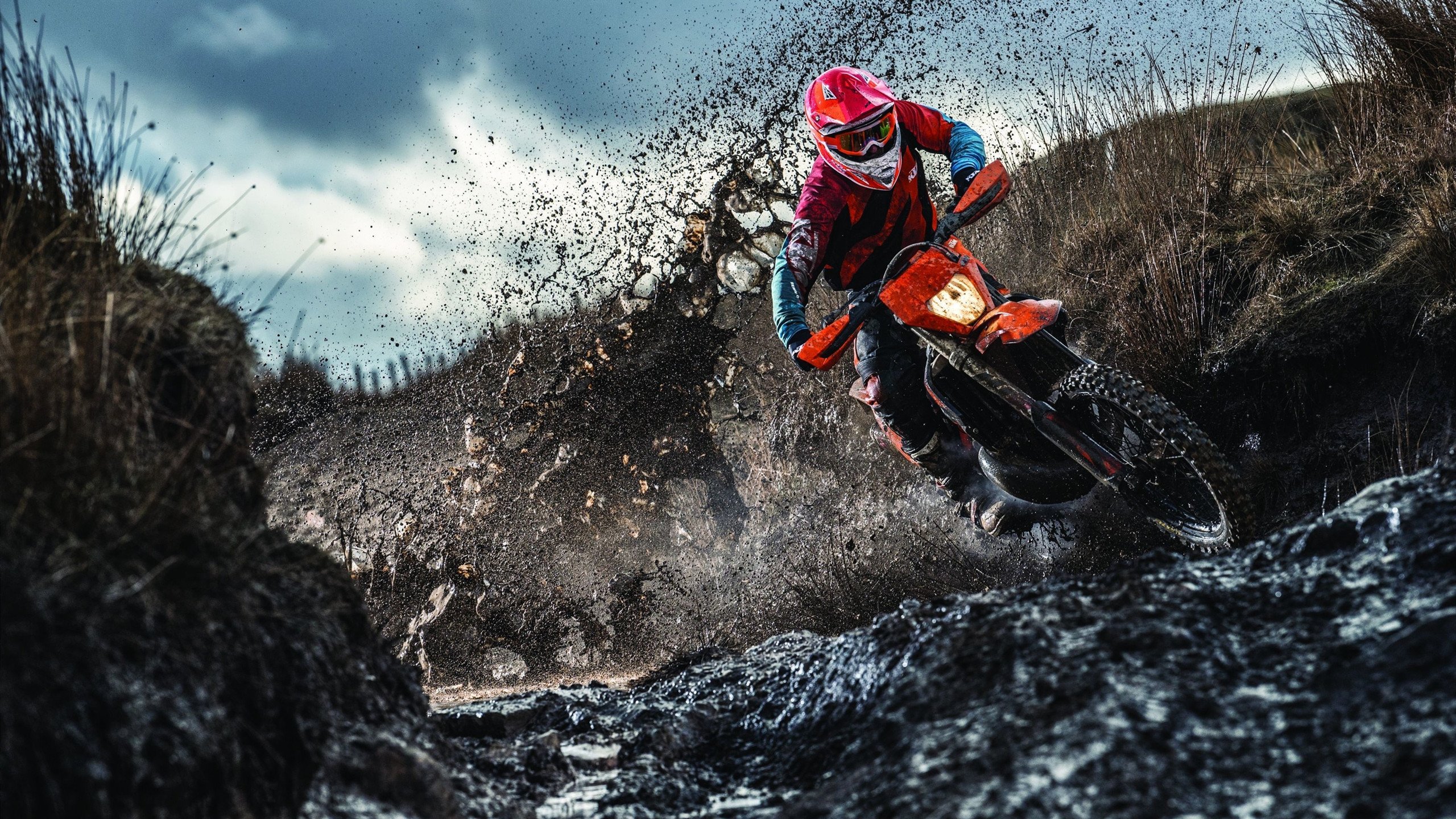 NBA最强新人排名